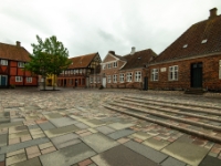 Ribe